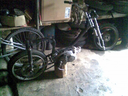 Celá kostra,je to čerstvé foto :)